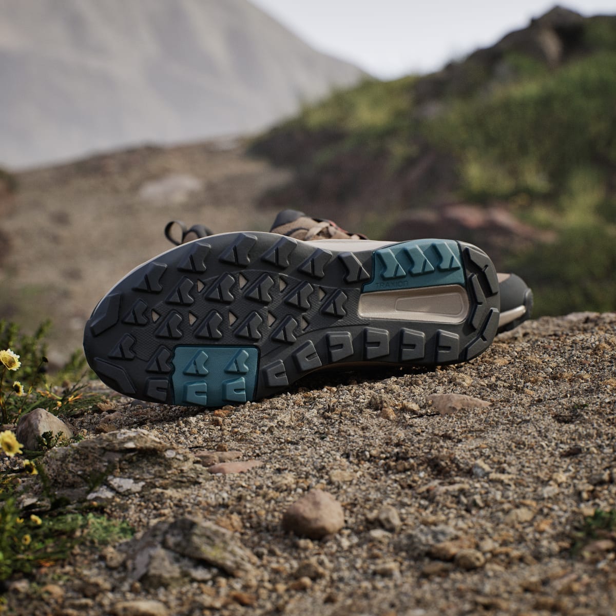 Adidas Men's Terrex Anylander Hiking Shoes - Cardboard / Blanch Cargo / Shadow Olive - Image 4
