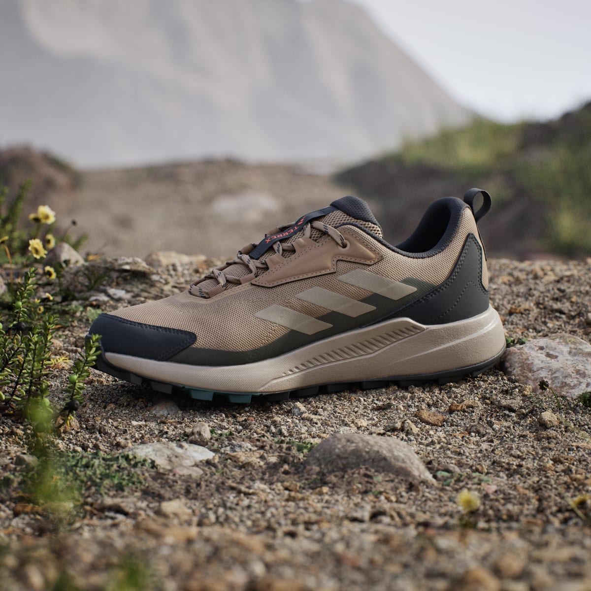 Adidas Men's Terrex Anylander Hiking Shoes - Cardboard / Blanch Cargo / Shadow Olive - Image 7
