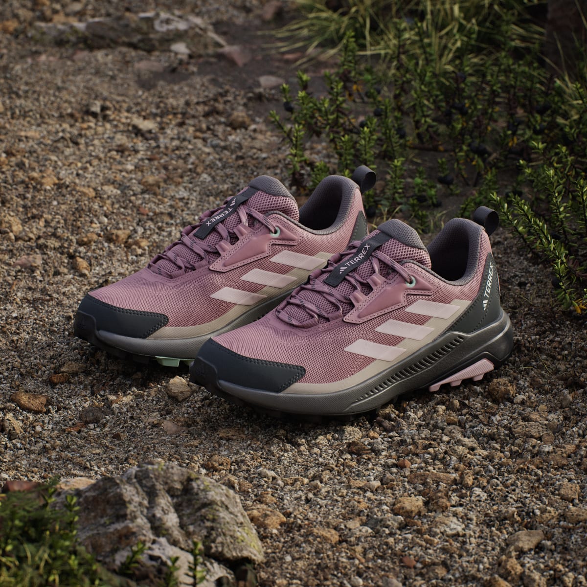 Adidas Women's Terrex Anylander Hiking Shoes - Magic Mauve / Distilled Pink / Grey Six - Image 5