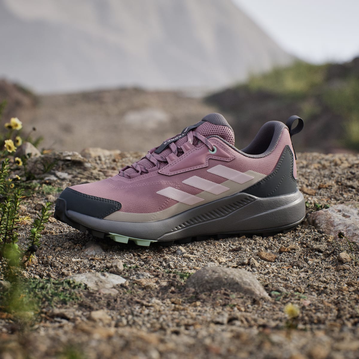 Adidas Women's Terrex Anylander Hiking Shoes - Magic Mauve / Distilled Pink / Grey Six - Image 7