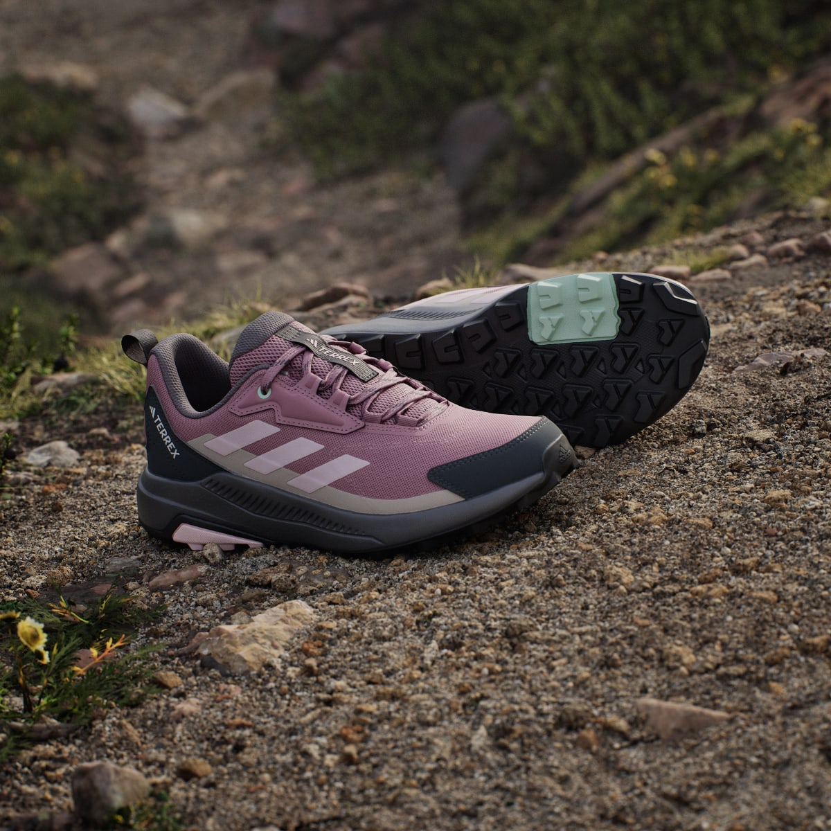 Adidas Women's Terrex Anylander Hiking Shoes - Magic Mauve / Distilled Pink / Grey Six - Image 8