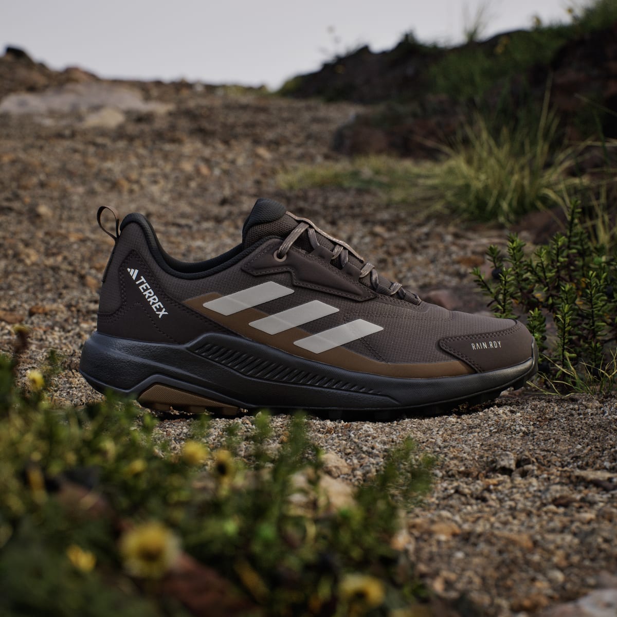 Adidas Men's Terrex Anylander Rain.Rdy Hiking Shoes - Dark Brown / Light Brown / Aurora Coffee - Image 3