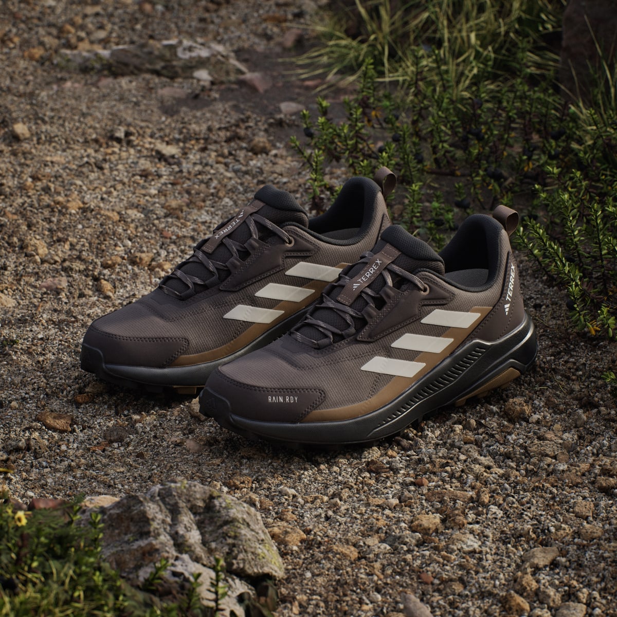 Adidas Men's Terrex Anylander Rain.Rdy Hiking Shoes - Dark Brown / Light Brown / Aurora Coffee - Image 5