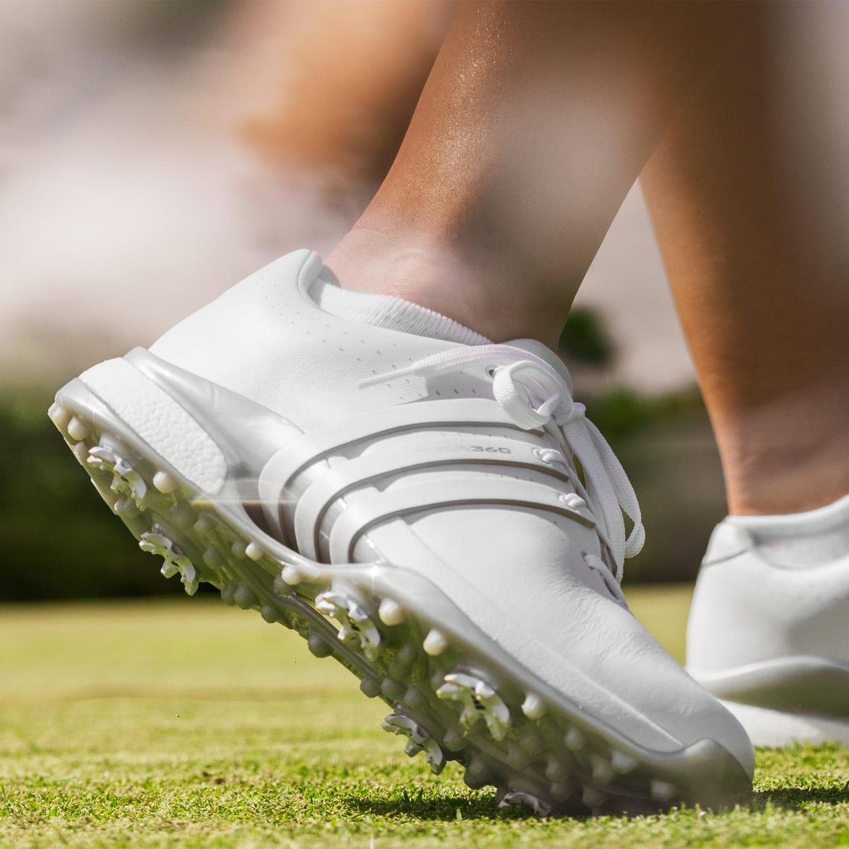 Adidas Women's Tour360 24 Golf Shoes - Cloud White / Cloud White / Silver Metallic - Image 14